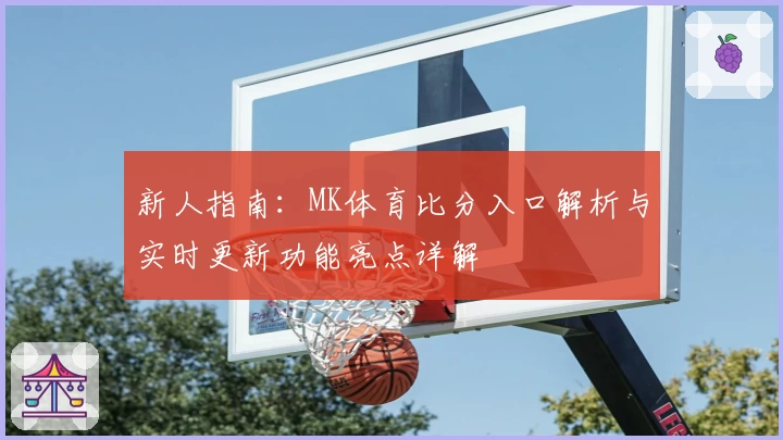 新人指南：MK体育比分入口解析与实时更新功能亮点详解